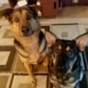 Meet your Posher, Leanna